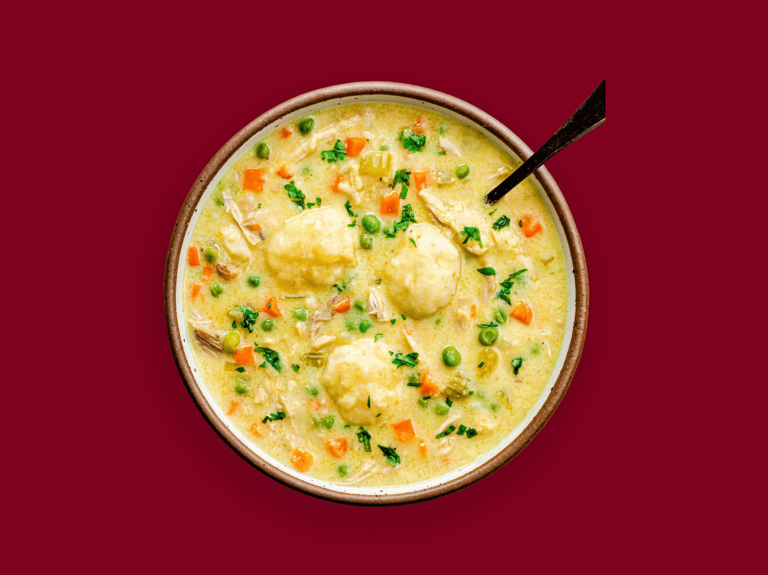 Chicken Dumpling Soup