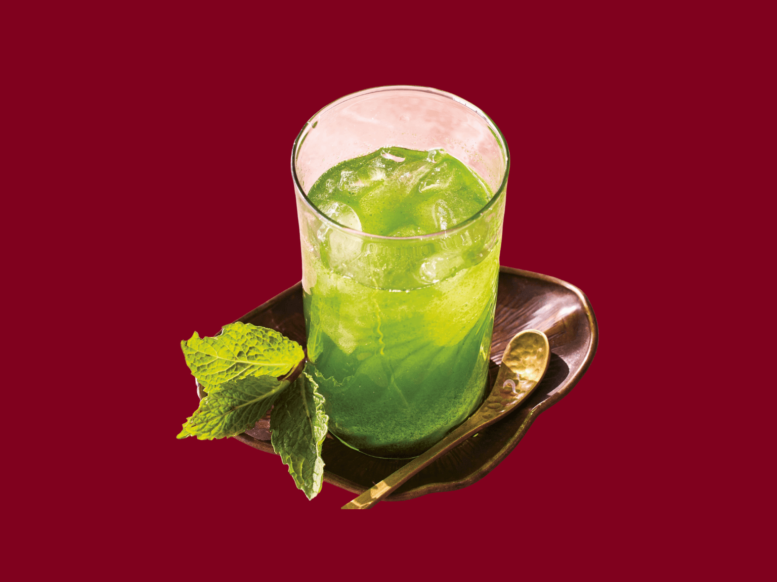 Lemon Mint Sarbat